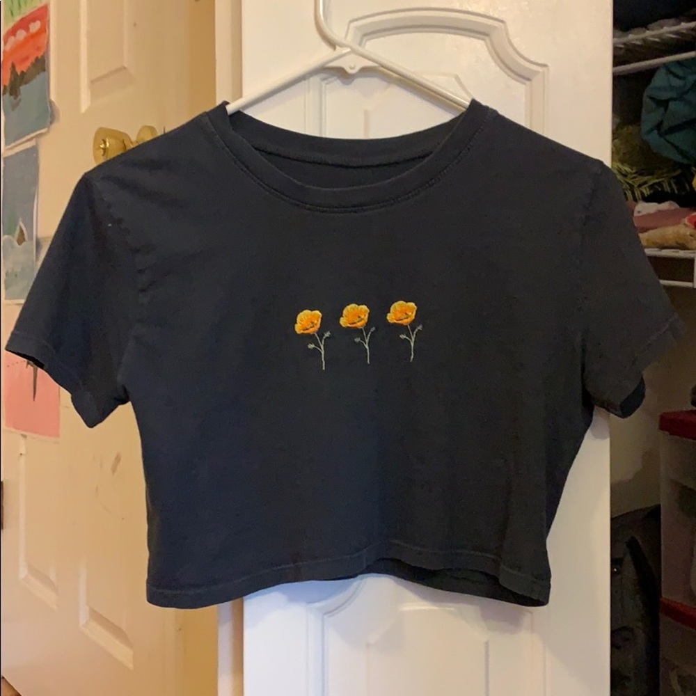 Brandy Melville cropped graphic top